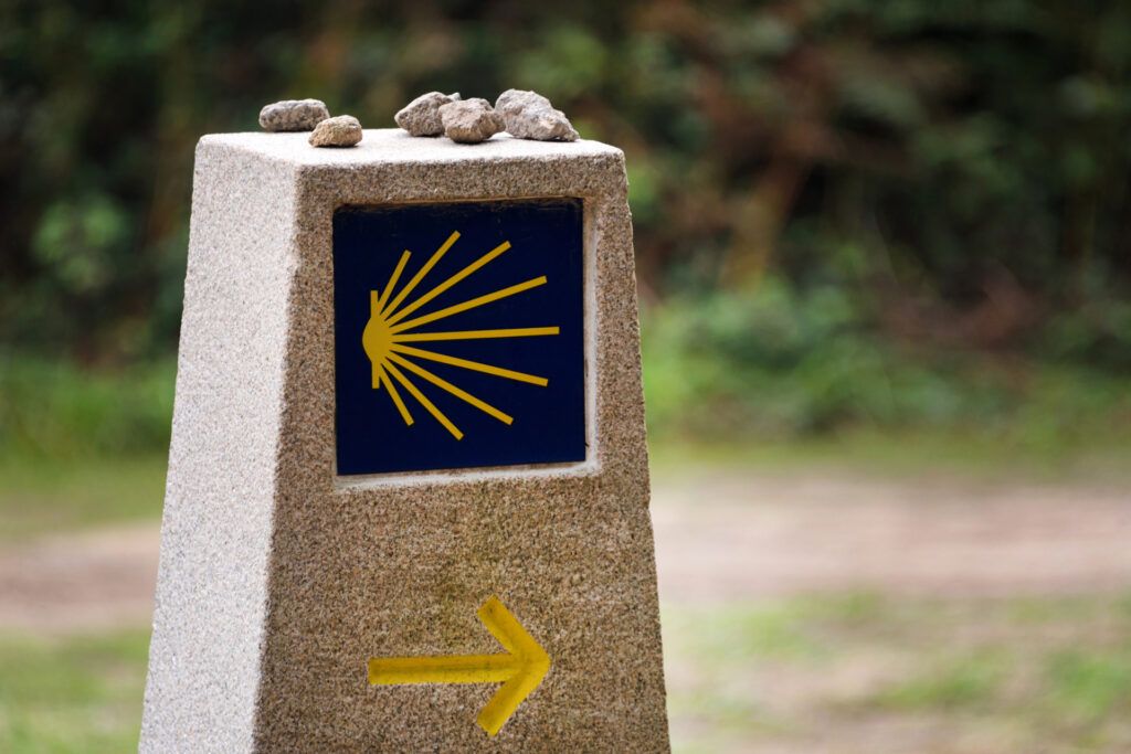 CAMINO DE SANTIAGO