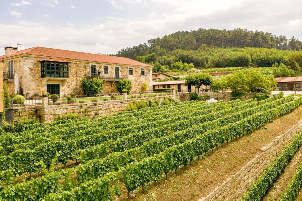 Vinos en Galicia Bodega Casal de Arman 2