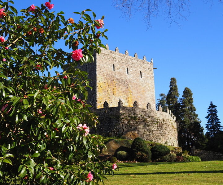 VIAJES CULTURALES EN GALICIA pazo
