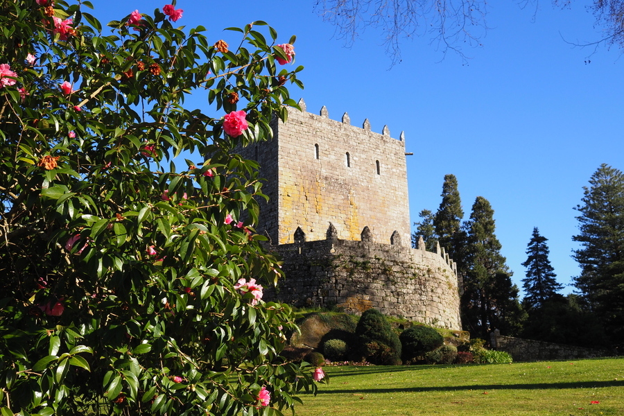 VIAJES CULTURALES EN GALICIA