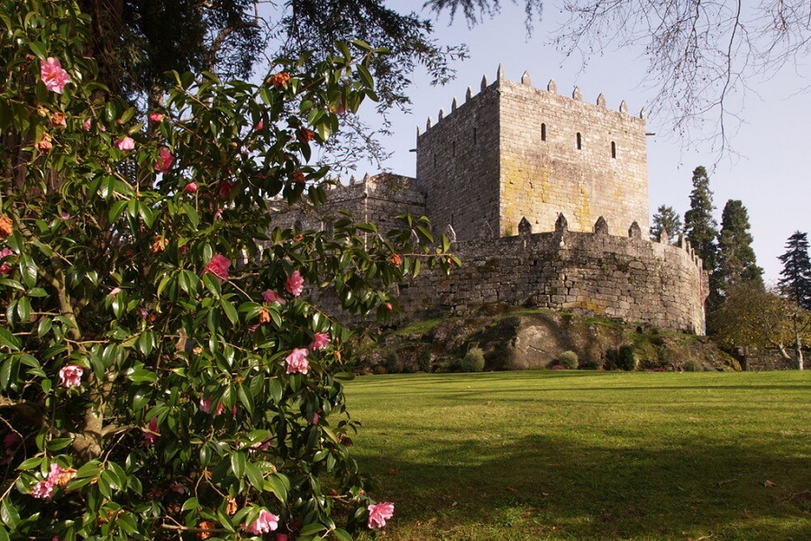 castillo_de_soutomaior camelia Ruta de las Camelias
